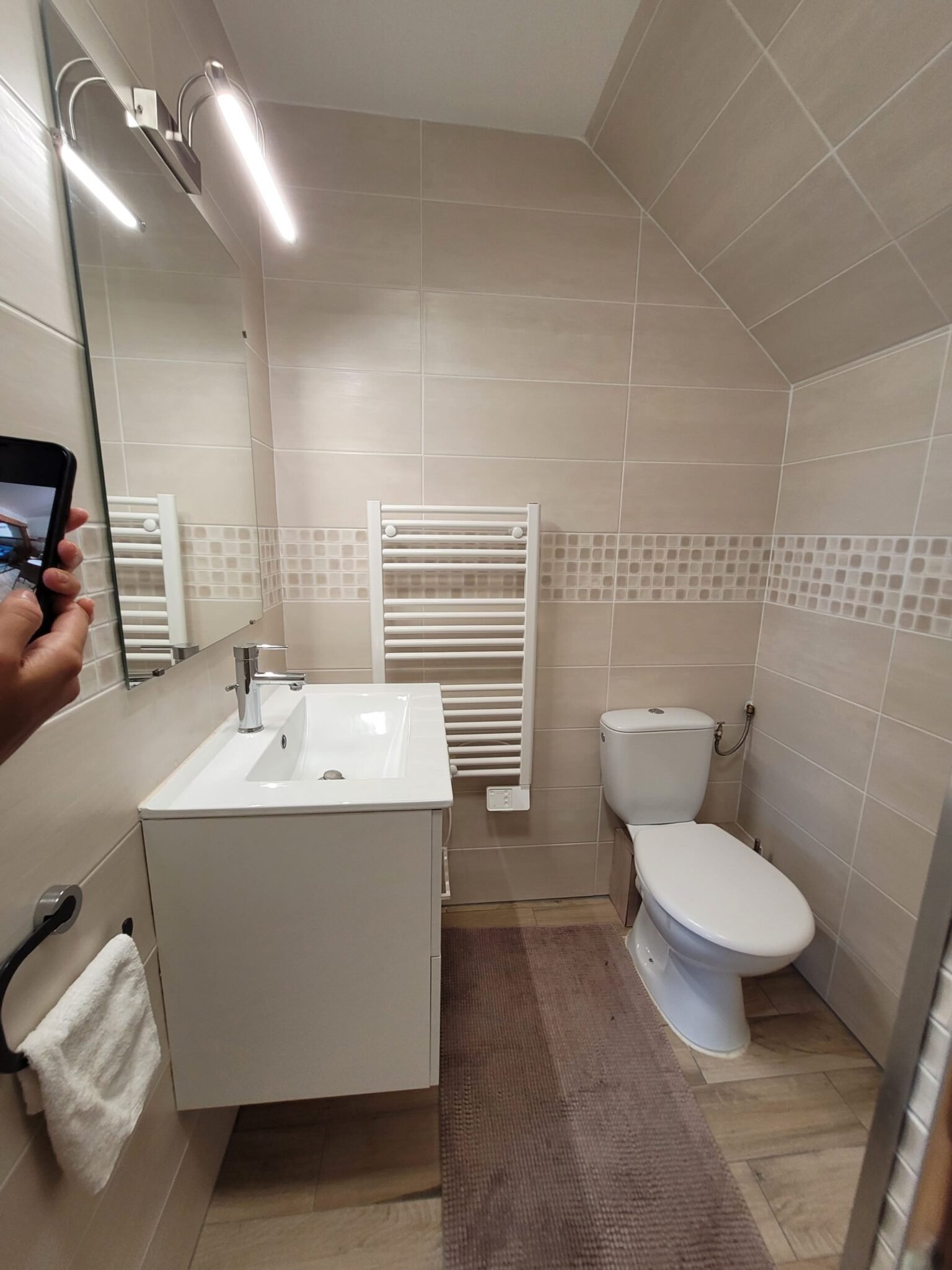 TOILETTE ET LAVABO DU LOGEMENT CANOPEE HÉBERGEMENT A JOIGNY